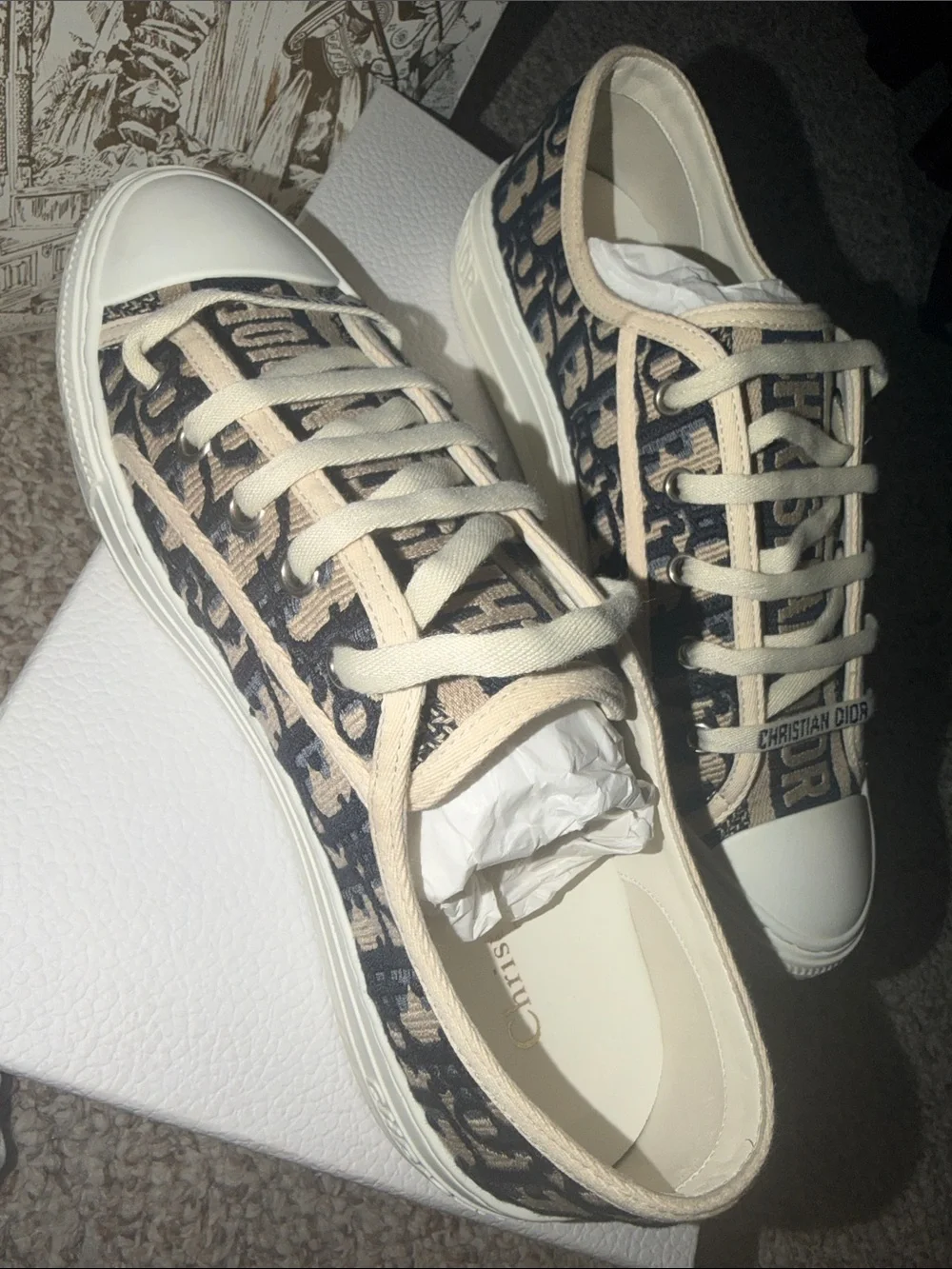 Dior Beige and Navy Blue Canvas Low-Top Sneakers